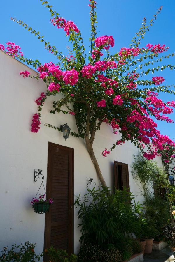 Villa Pampalone - B&B In Dimora Storica Trapani Exteriér fotografie