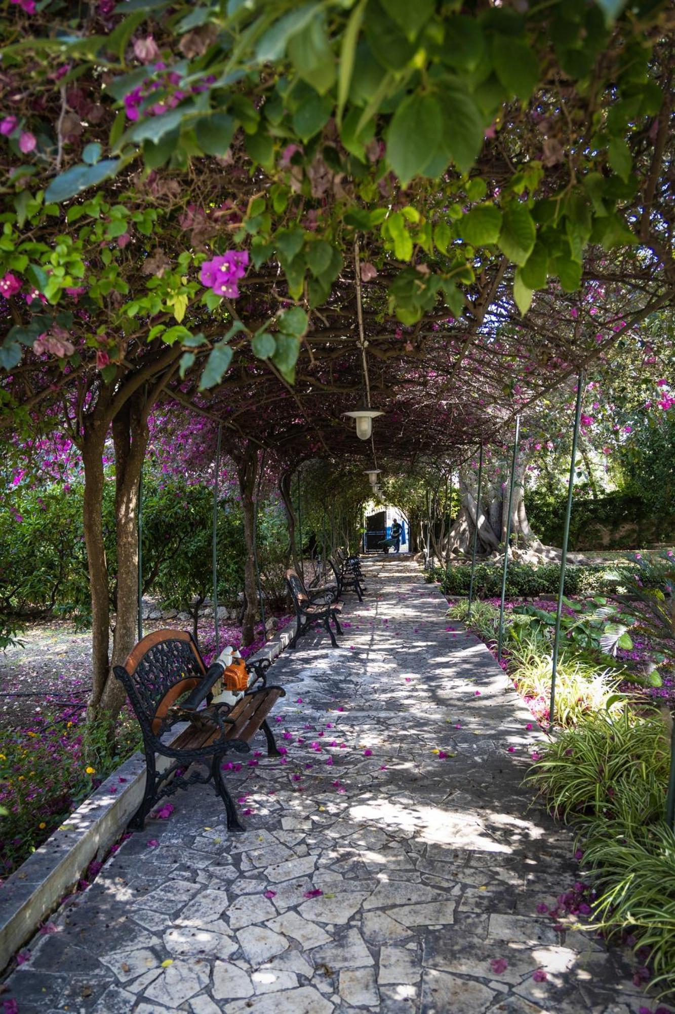 Villa Pampalone - B&B In Dimora Storica Trapani Exteriér fotografie