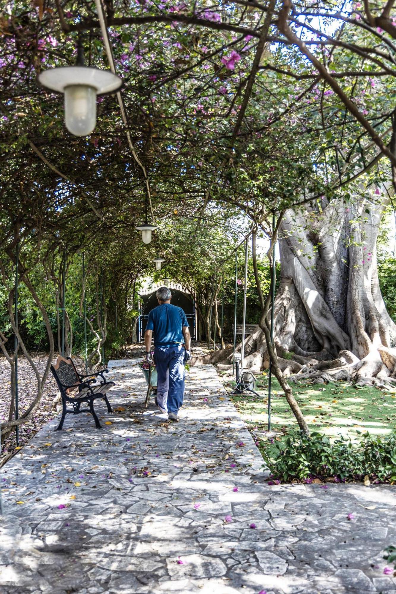 Villa Pampalone - B&B In Dimora Storica Trapani Exteriér fotografie